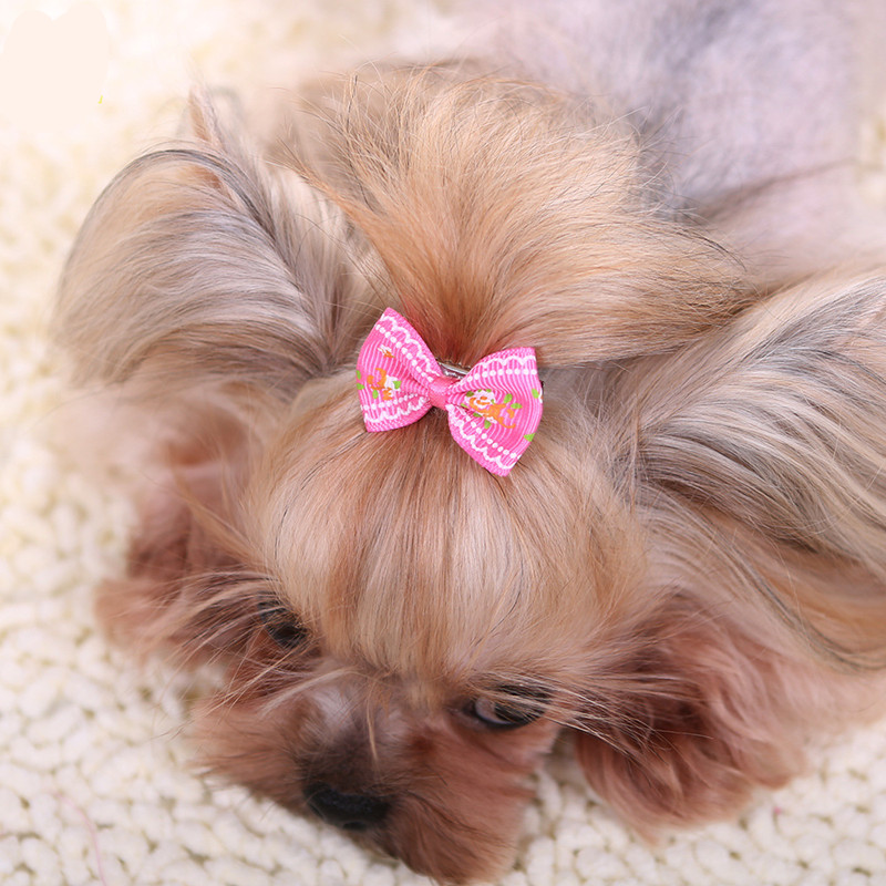 Jepit Rambut Baru untuk Anjing - Pet Supplies York ulasan dan harga