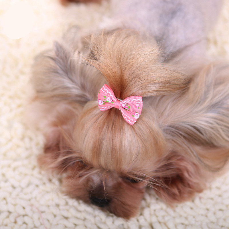 Jepit Rambut Baru untuk Anjing - Pet Supplies York ulasan dan harga