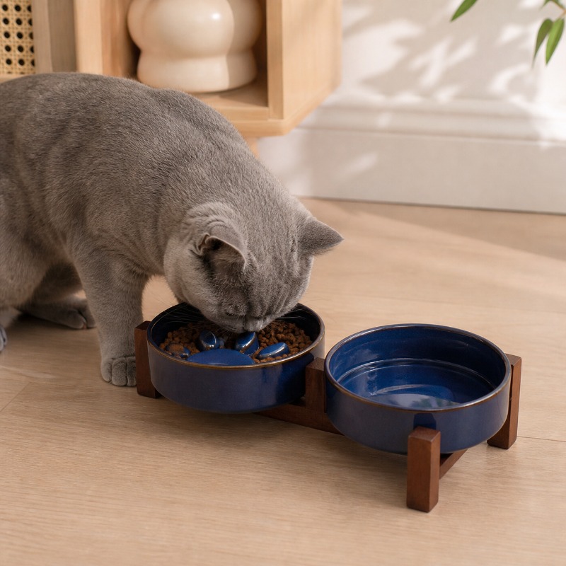 Mangkuk Kucing Peliharaan Kera - Royal Canin Food Medium ulasan dan harga