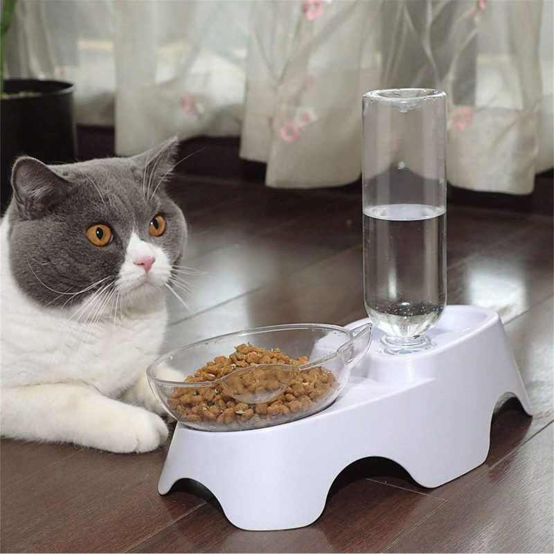 1PC Set Mangkuk Ganda untuk An - Royal Canin Food Medium ulasan dan harga