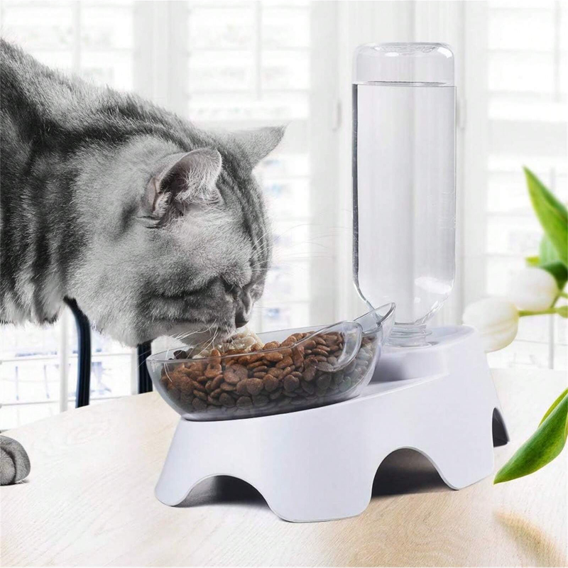 1PC Set Mangkuk Ganda untuk An - Royal Canin Food Medium ulasan dan harga
