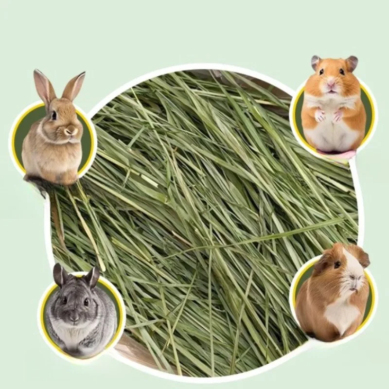Rumput Timothy Kering Kaya Ser - Pet Supplies Is Food ulasan dan harga